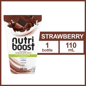 Nutriboost Chocolate 110mL