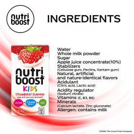 Nutriboost Strawberry Flavoured Drink with Milk 110ml - Pack of 12